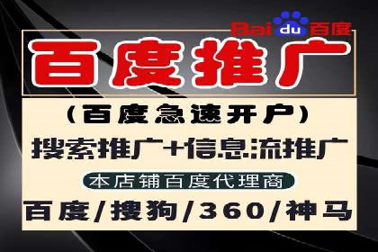 竞价托管实战案例：优化广告投放策略